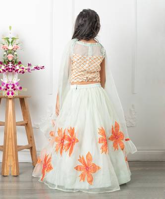 Floral applique embroidered lehenga set 5