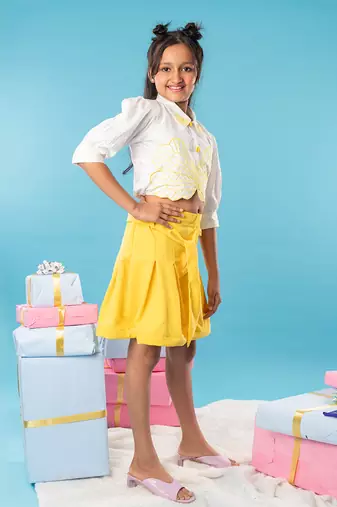 Butterfly embroidered skirt set