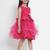 Fuchsia Embellished Silk Fit And Flare Dress
