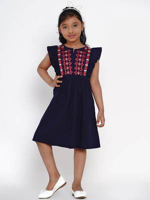 Blue Embroidered Cotton Fit And Flare Dress 1