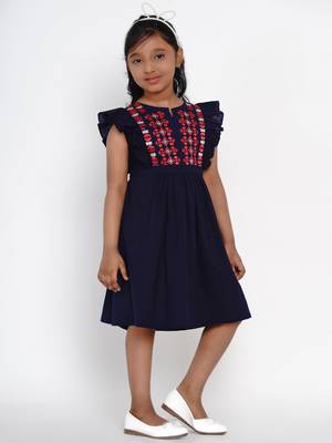 Blue Embroidered Cotton Fit And Flare Dress 2