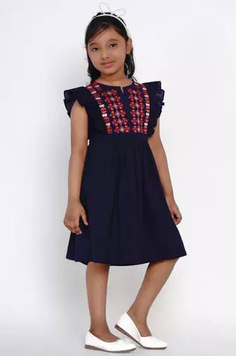 Blue Embroidered Cotton Fit And Flare Dress
