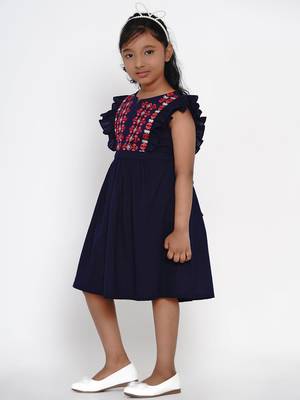 Blue Embroidered Cotton Fit And Flare Dress 5