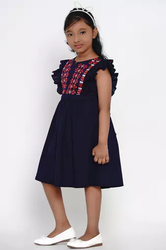 Blue Embroidered Cotton Fit And Flare Dress