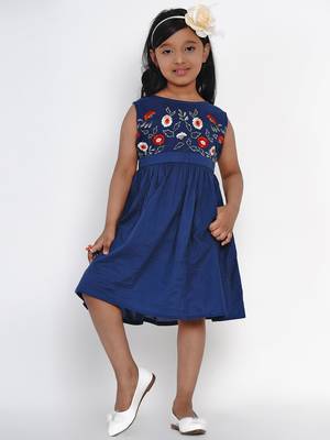 Blue Embroidered Cotton Fit And Flare Dress 1