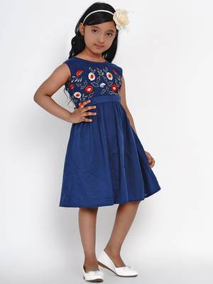 Blue Embroidered Cotton Fit And Flare Dress 2