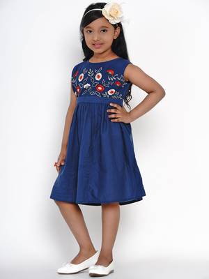 Blue Embroidered Cotton Fit And Flare Dress 5