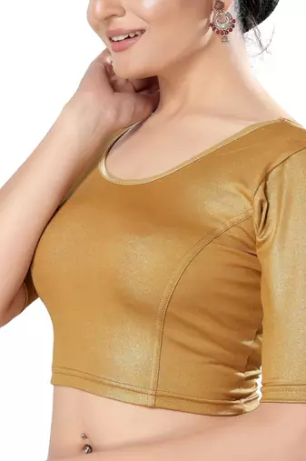 Non - Padded Shimmer Round Neck Blouse