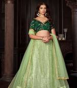 Pista Embroidered Net Lehenga-Choli