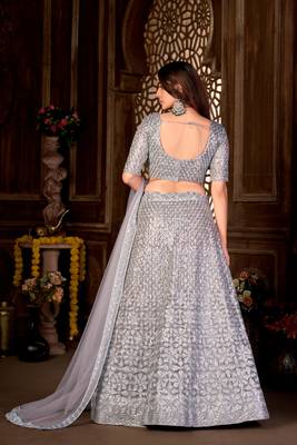 Blue Embroidered Net Lehenga-Choli 2