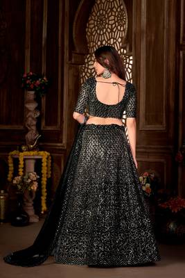 Black Embroidered Net Lehenga-Choli 2