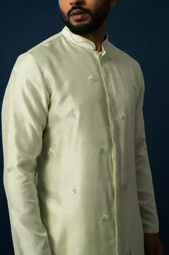 Tender leaf embroidered kurta set