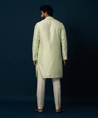 Tender leaf embroidered kurta set 5