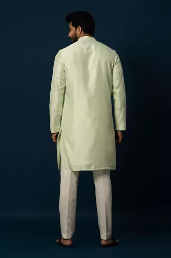 Tender leaf embroidered kurta set