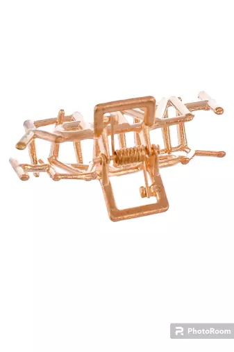 Set of 2 gold toned claw clip