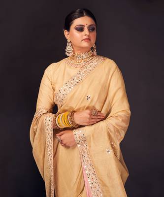 Beige embroidered tissue silk saree 2