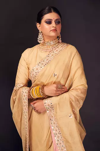 Beige embroidered tissue silk saree