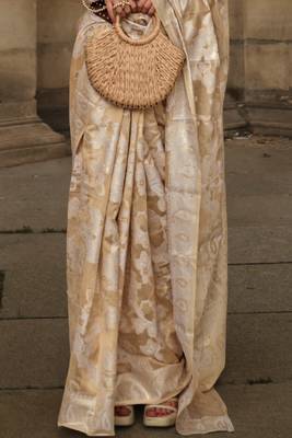 Beige Orgazna Chickankari Zari Lucknowi Handloom Weaving Saree With Blouse For Women 5