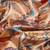 Silk Land  Beige  Printed Art Silk Saree 