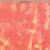 Silk Land  Mustard  Printed Organza Saree 
