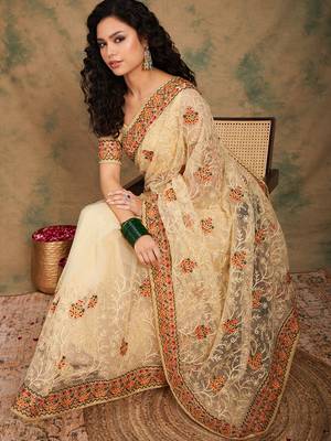 Chiku Color Embroidery Work Net Saree With Blouse 1
