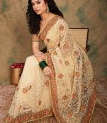 Chiku Color Embroidery Work Net Saree With Blouse