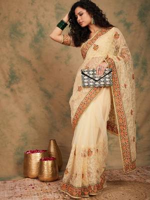 Chiku Color Embroidery Work Net Saree With Blouse 2