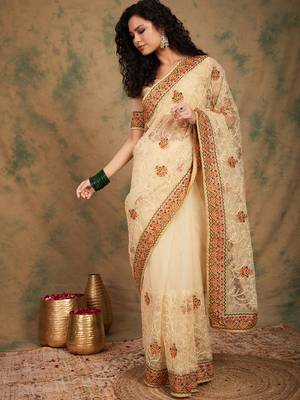 Chiku Color Embroidery Work Net Saree With Blouse 4