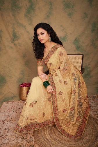 Chiku Color Embroidery Work Net Saree With Blouse
