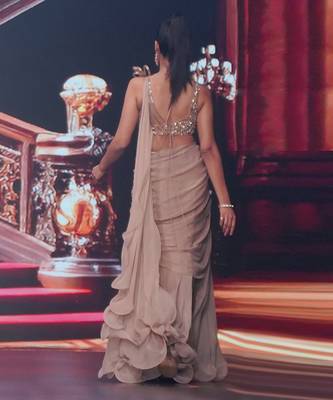 The spree skirt saree 3