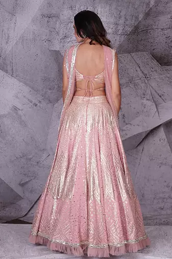 The Spree Pink Lehenga