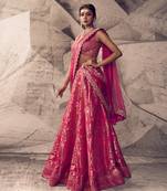 The Anant Pink Lehenga