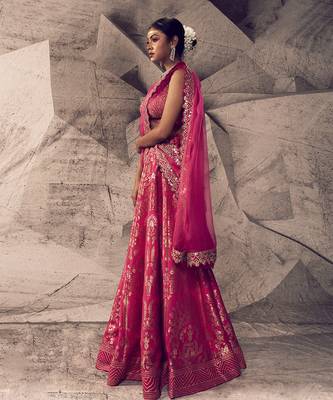The Anant Pink Lehenga 2