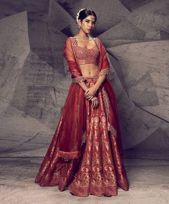 The Anant Rust Lehenga 1