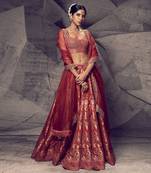 The Anant Rust Lehenga