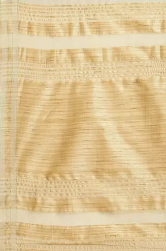 Riva Enterprise Women'S Organza Jari Weiving Saree With Blouse