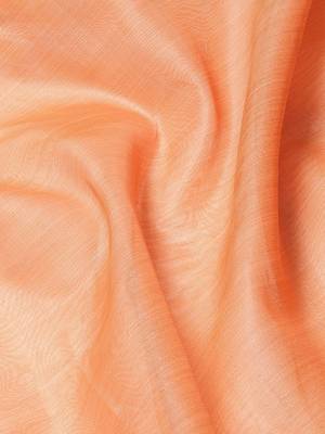 Riva Enterprise Women'S Organza Jari Weiving Saree With Blouse 5