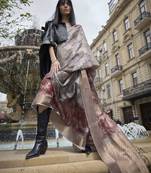 Elora Brasso Floral Printed  Sequence Work Weaving  Saree  (Brown)