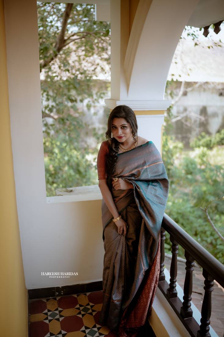 Blue Classic Designer Soft Silk  Zari Work Traditional Wear Saree