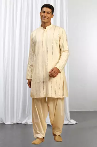 Fawn Viscose Embroidered Mirror work kurta