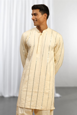 Fawn Viscose Embroidered Mirror work kurta 2