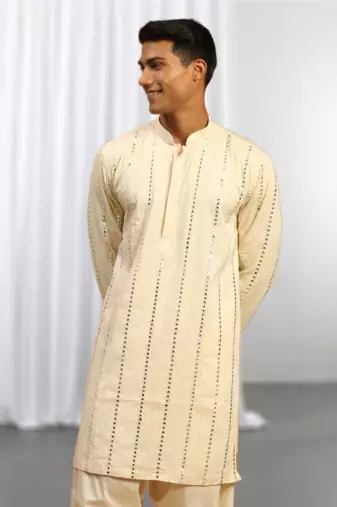 Fawn Viscose Embroidered Mirror work kurta
