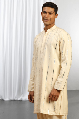 Fawn Viscose Embroidered Mirror work kurta 3