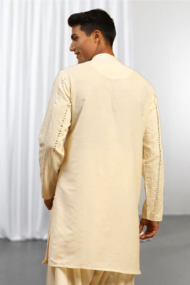 Fawn Viscose Embroidered Mirror work kurta 4