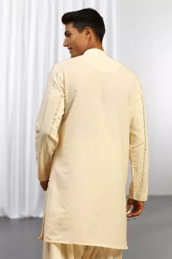 Fawn Viscose Embroidered Mirror work kurta