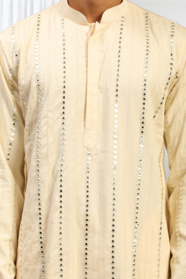 Fawn Viscose Embroidered Mirror work kurta 5