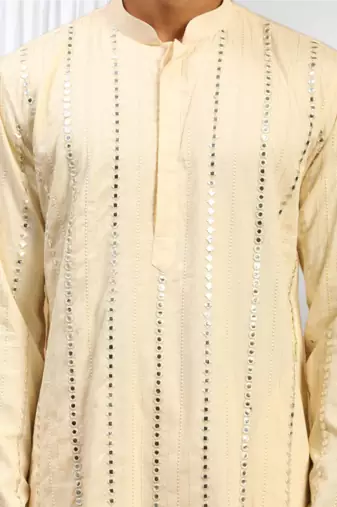 Fawn Viscose Embroidered Mirror work kurta