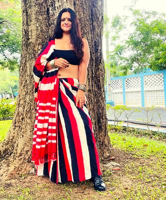 Multicolor Ikat Saree Set 5