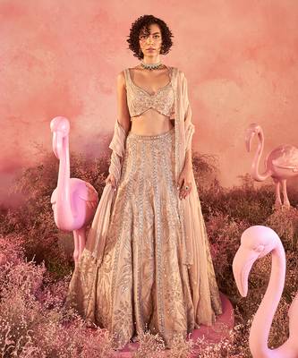Serina Lehenga Set 1