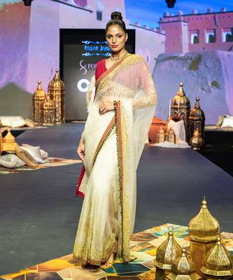 Fawn saree set 2